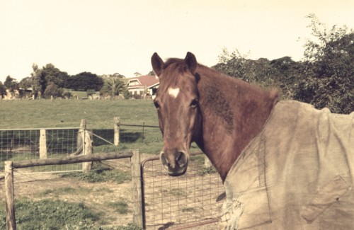 Glenlea Farm